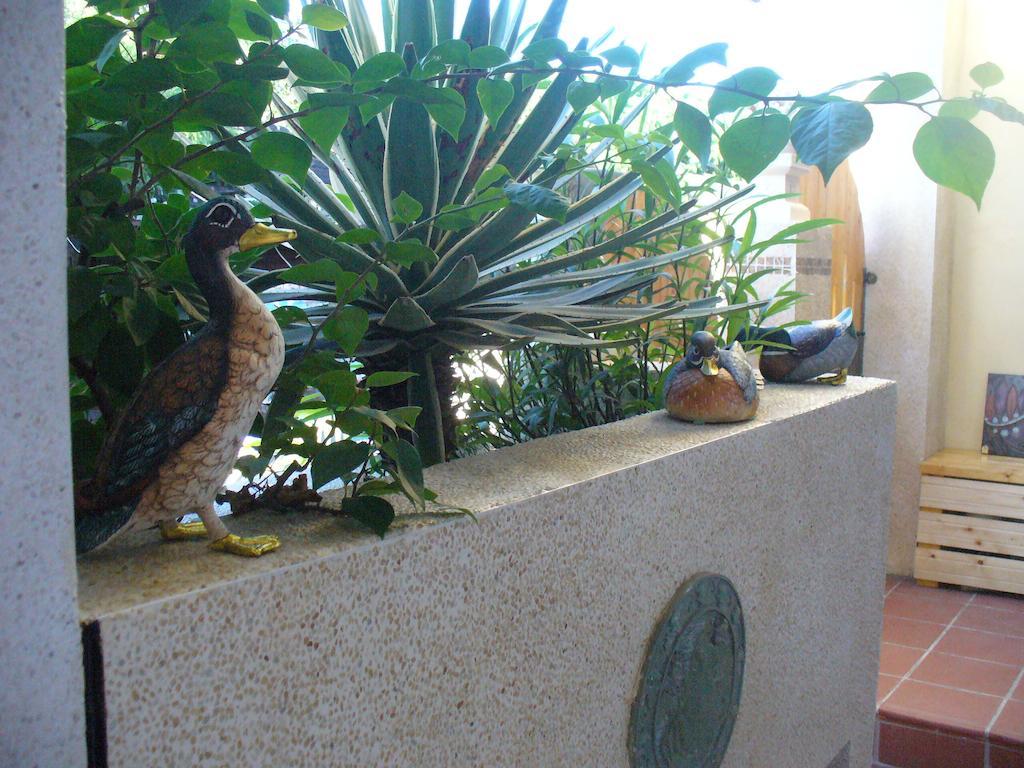 Alongs Garden Acomodação com café da manhã Heng-ch'un Exterior foto